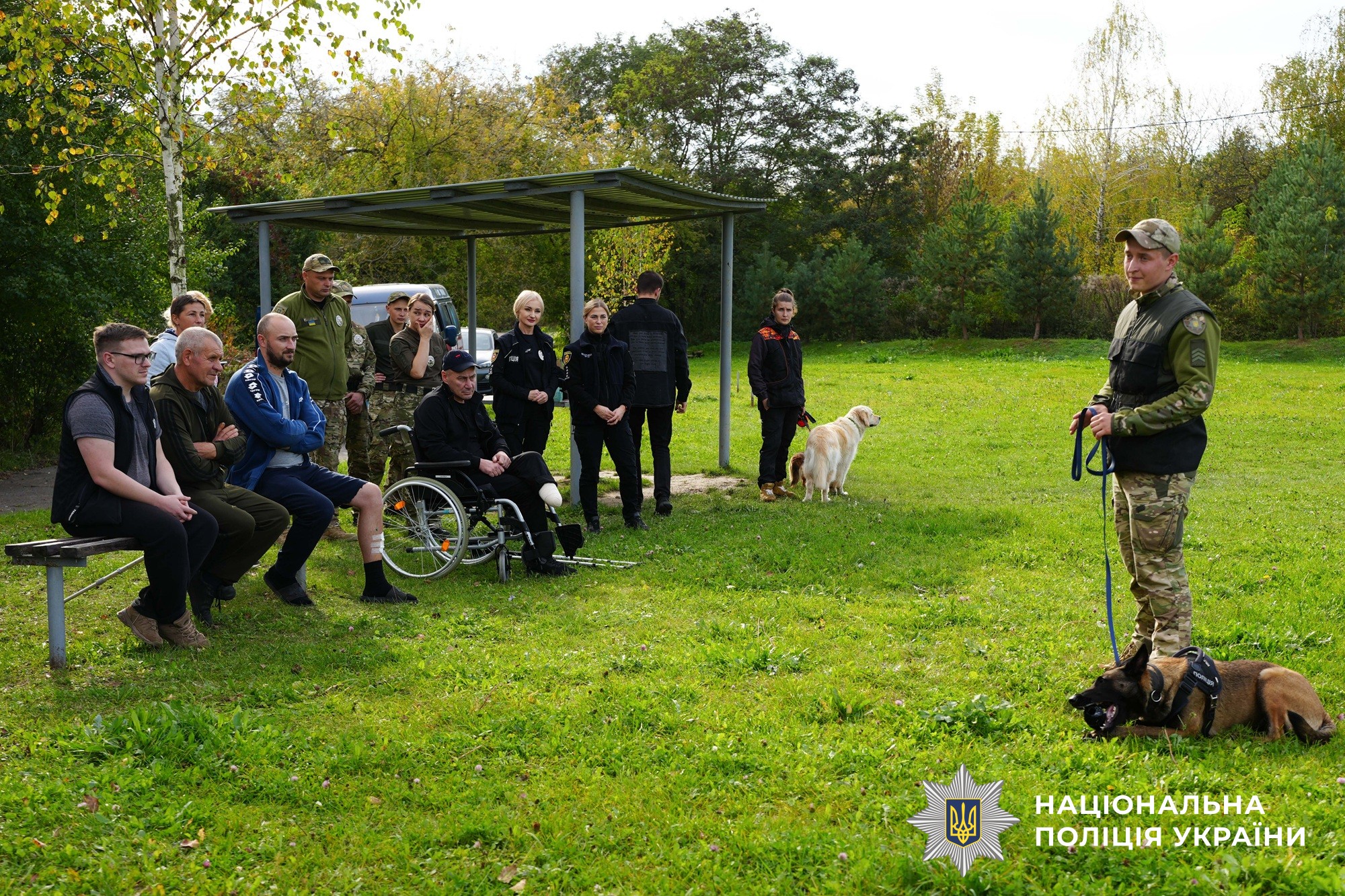 Майже 900 службових собак: як працює кінологічна служба Нацполіції