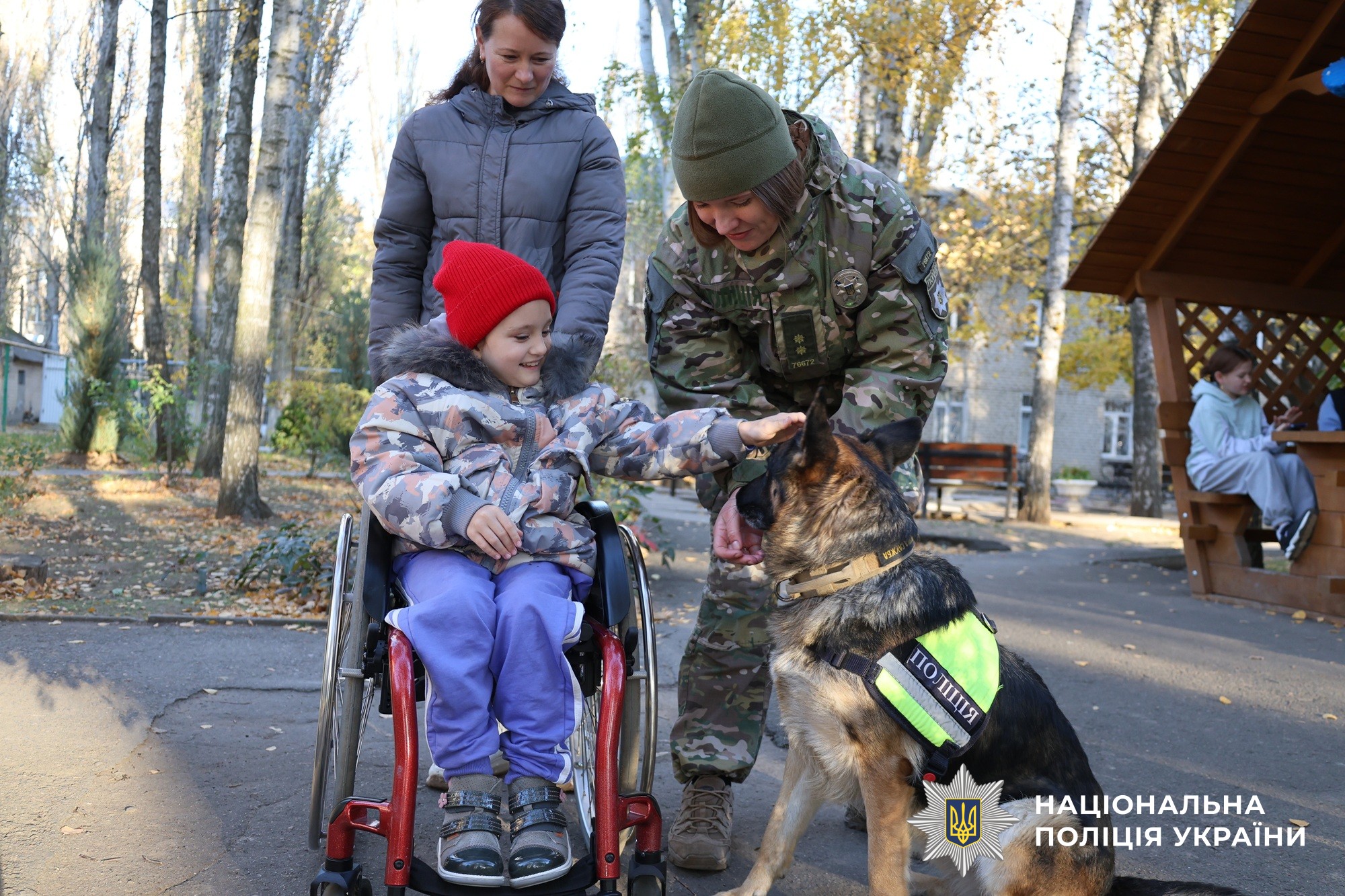 Майже 900 службових собак: як працює кінологічна служба Нацполіції