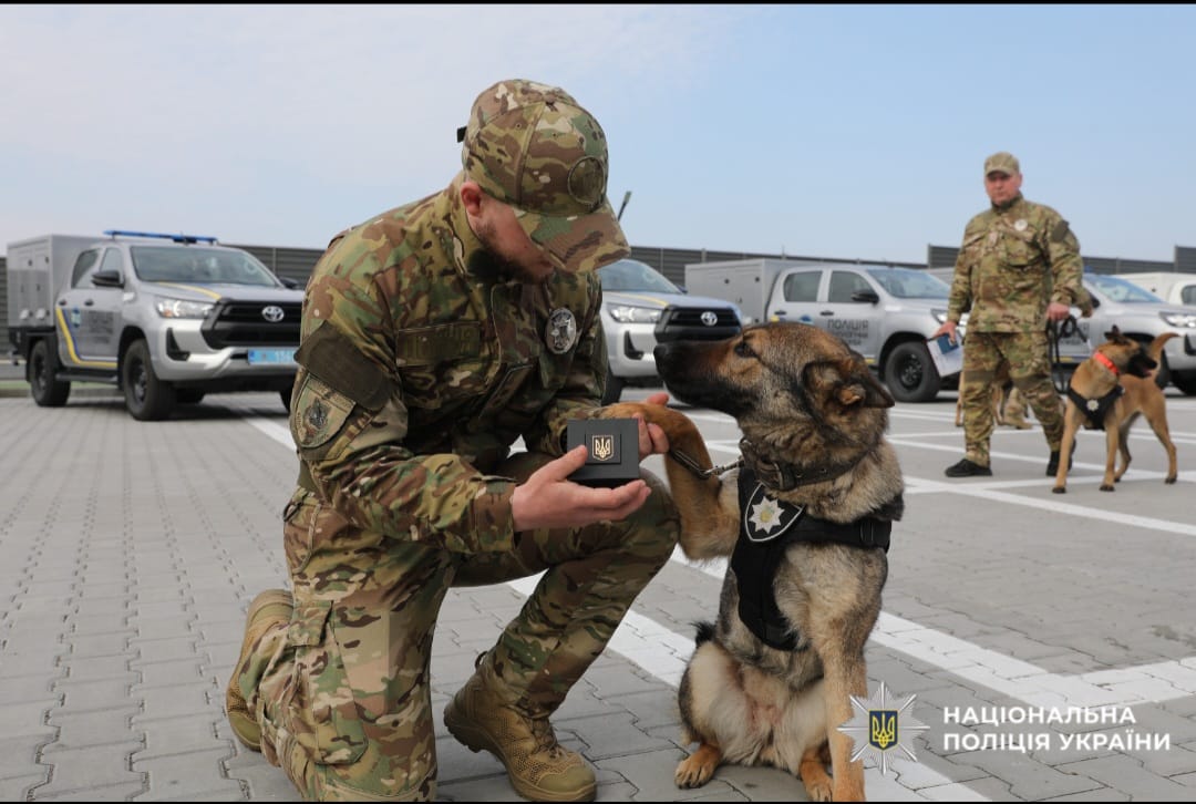На фото кінолог та службовий пес.
