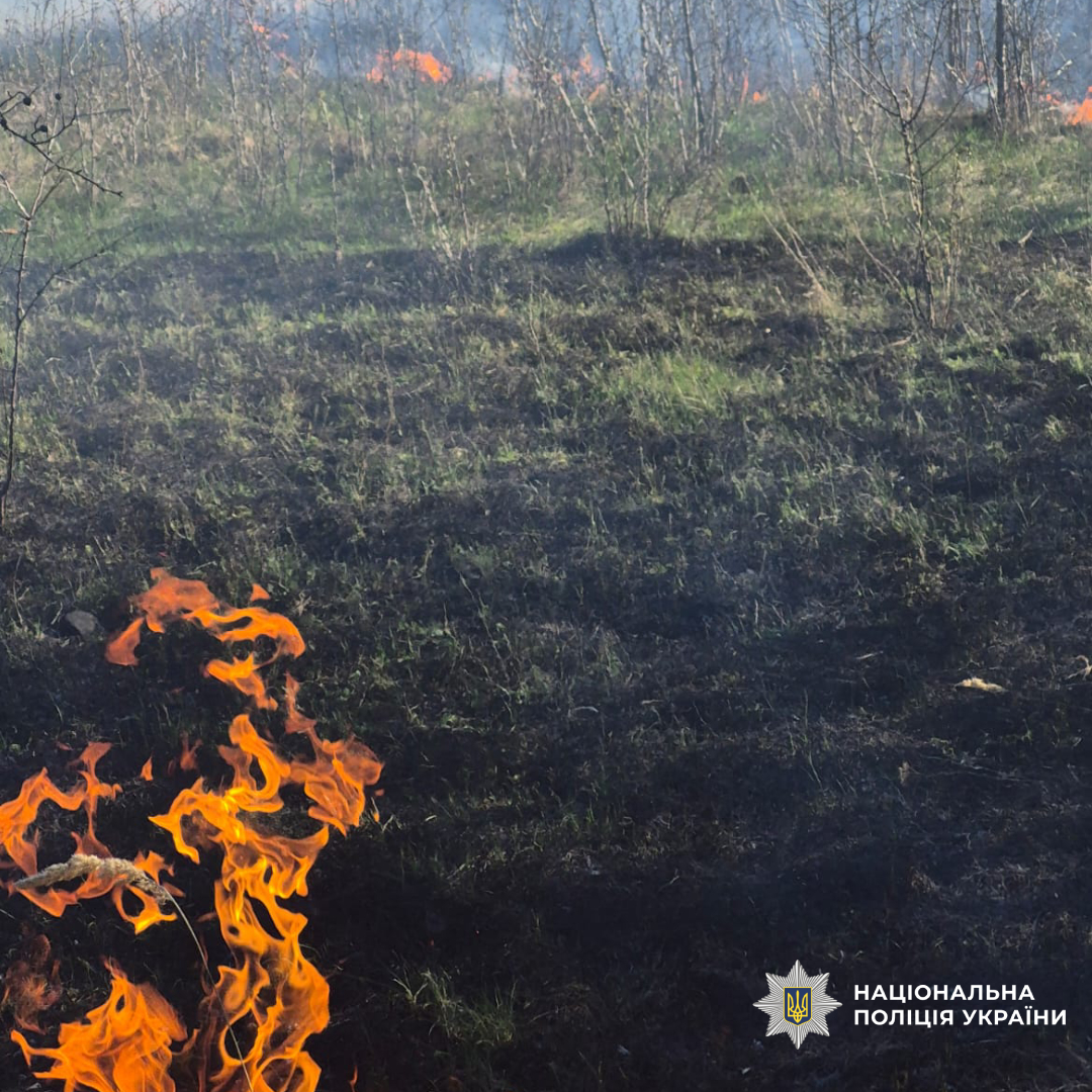 поліцейські збирають докази воєнних злочинів рф