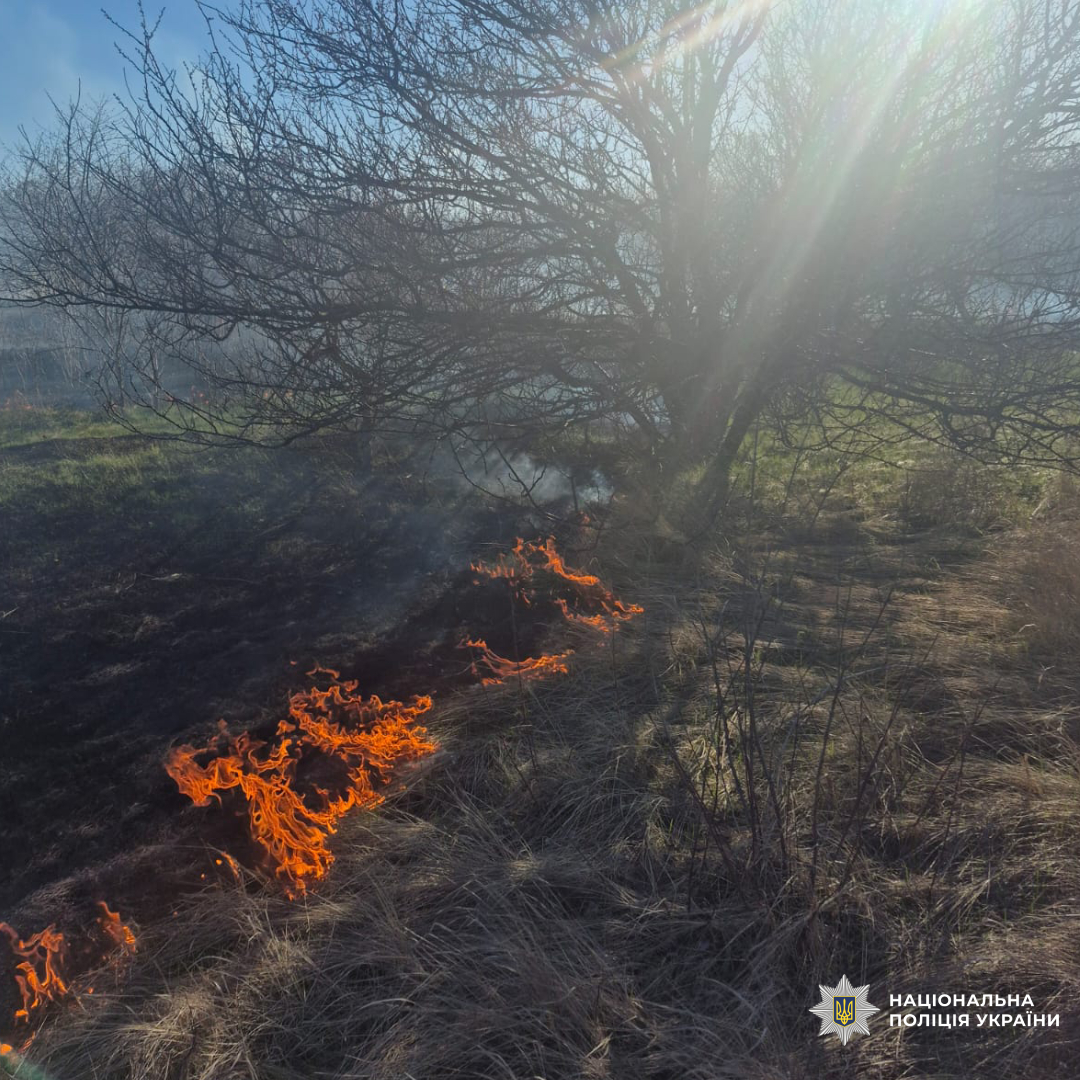 поліцейські задокументували воєнні злочини