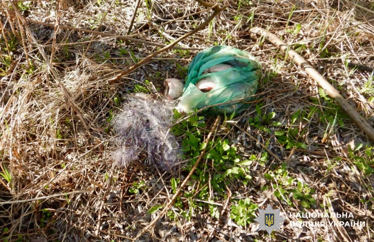 На фото зображено пакет з рибою