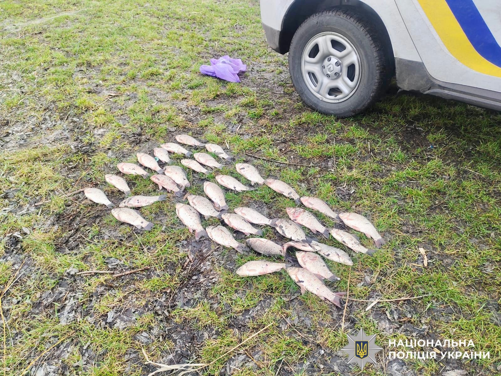 На фото зображено вилов риби