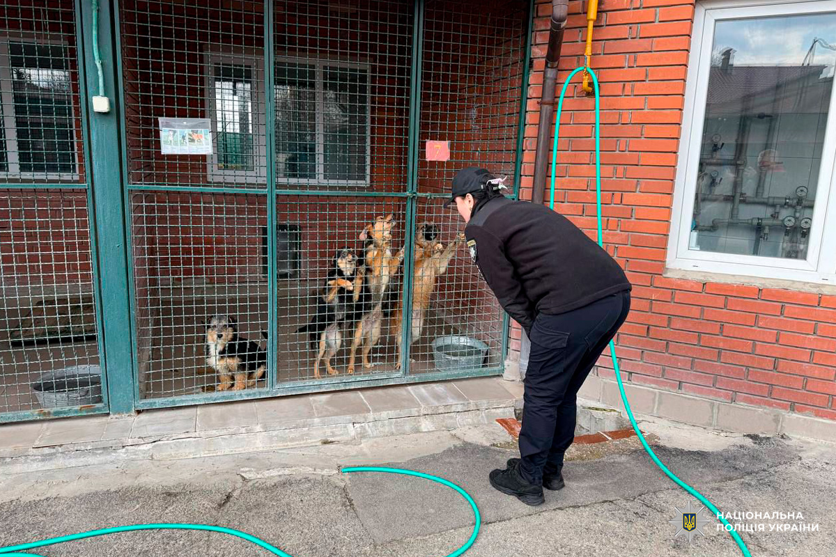 Поліцейська нахиляється до кількох собак у вольєрі з металевою сіткою; тварини стоять на задніх лапах біля огорожі, одна сидить позаду; видно цегляну стіну, вікна, зелений шланг на землі та металеву миску з водою