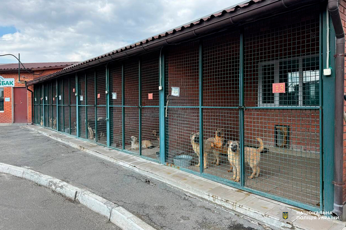 Ряд зовнішніх вольєрів для собак, прикріплених до цегляної будівлі з черепичним дахом; кожен вольєр огороджений зеленою металевою сіткою, всередині видно собак.