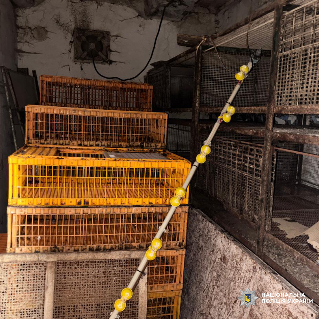 Вбив та півтора року ховав тіло тещі: на Харківщині слідчі повідомили про підозру чоловіку