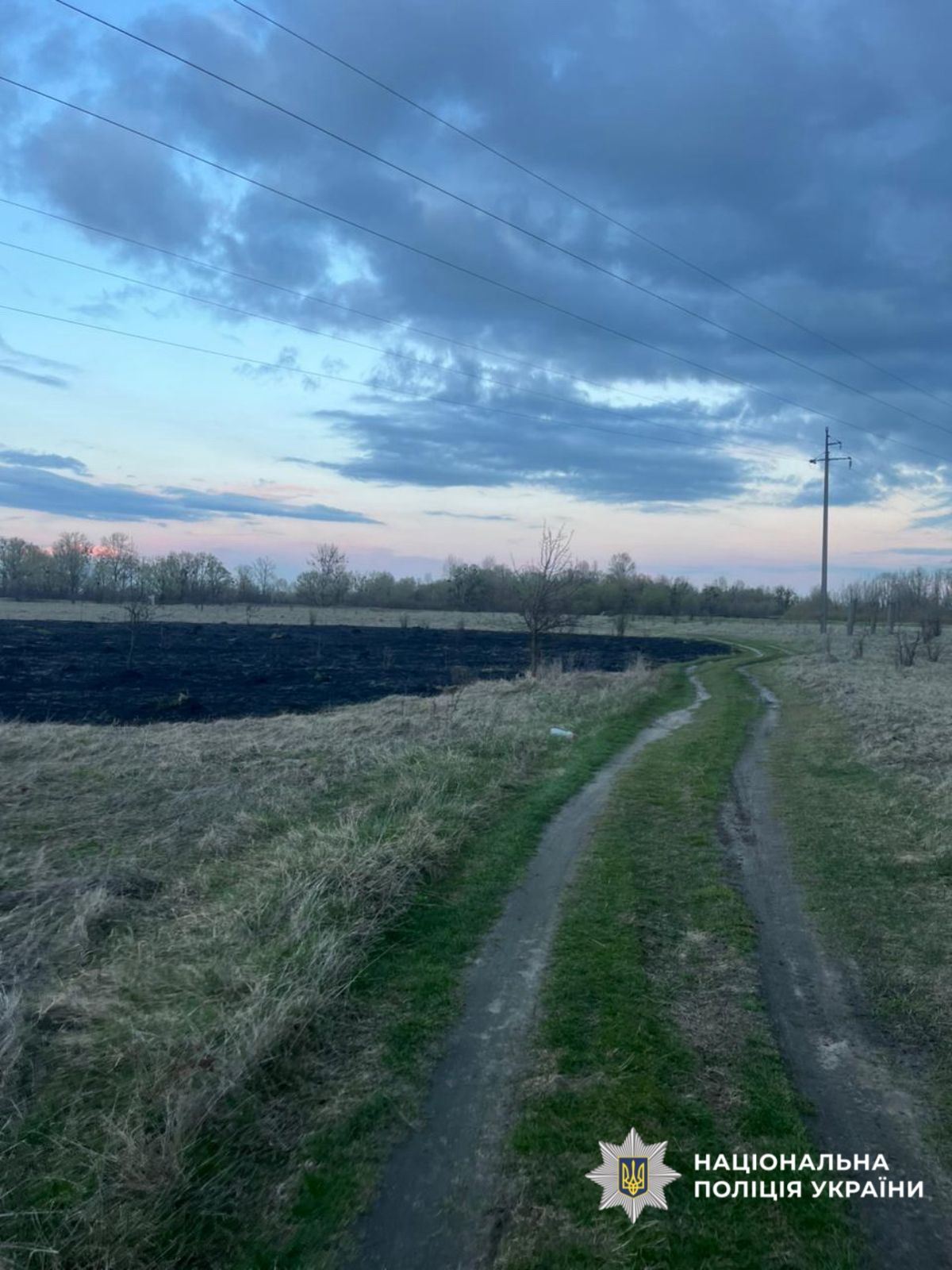 На фото зображено місце події