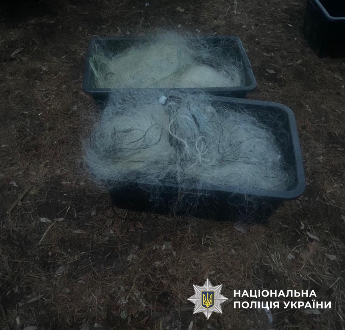 На фото зображені сітки для ловлі риби