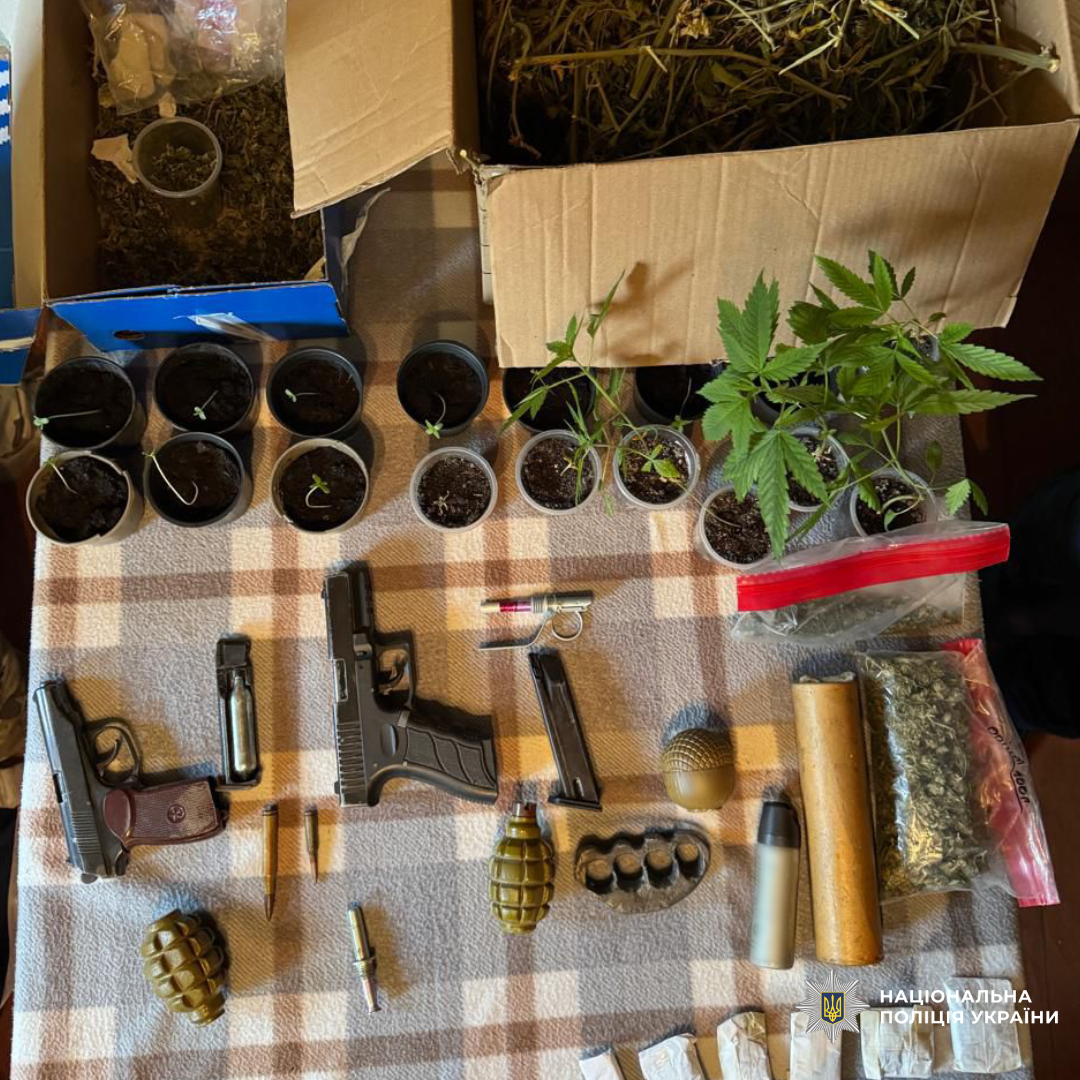 У Нововодолазькій громаді поліцейські вилучили боєприпаси, зброю та нарковмісні рослини