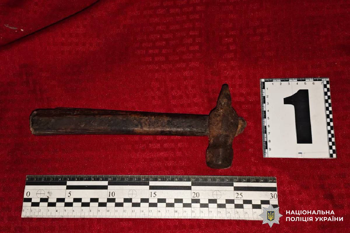 Побив та вимагав гроші: на Харківщині поліцейські затримали нападника