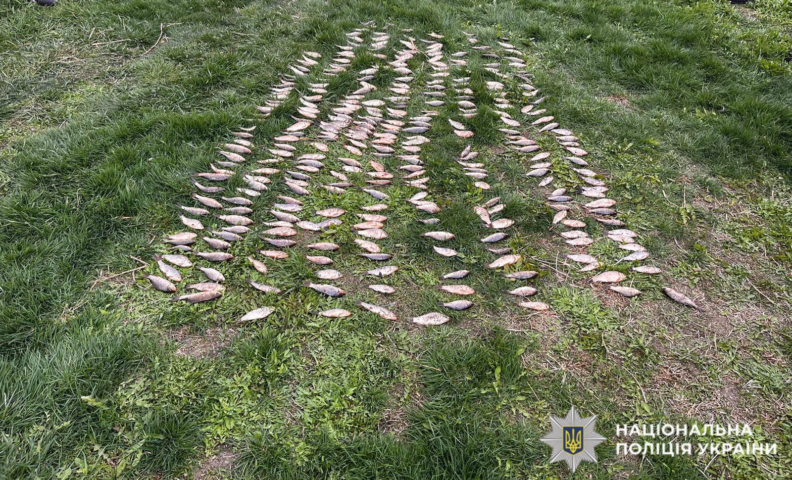 На фото зображене місце події.