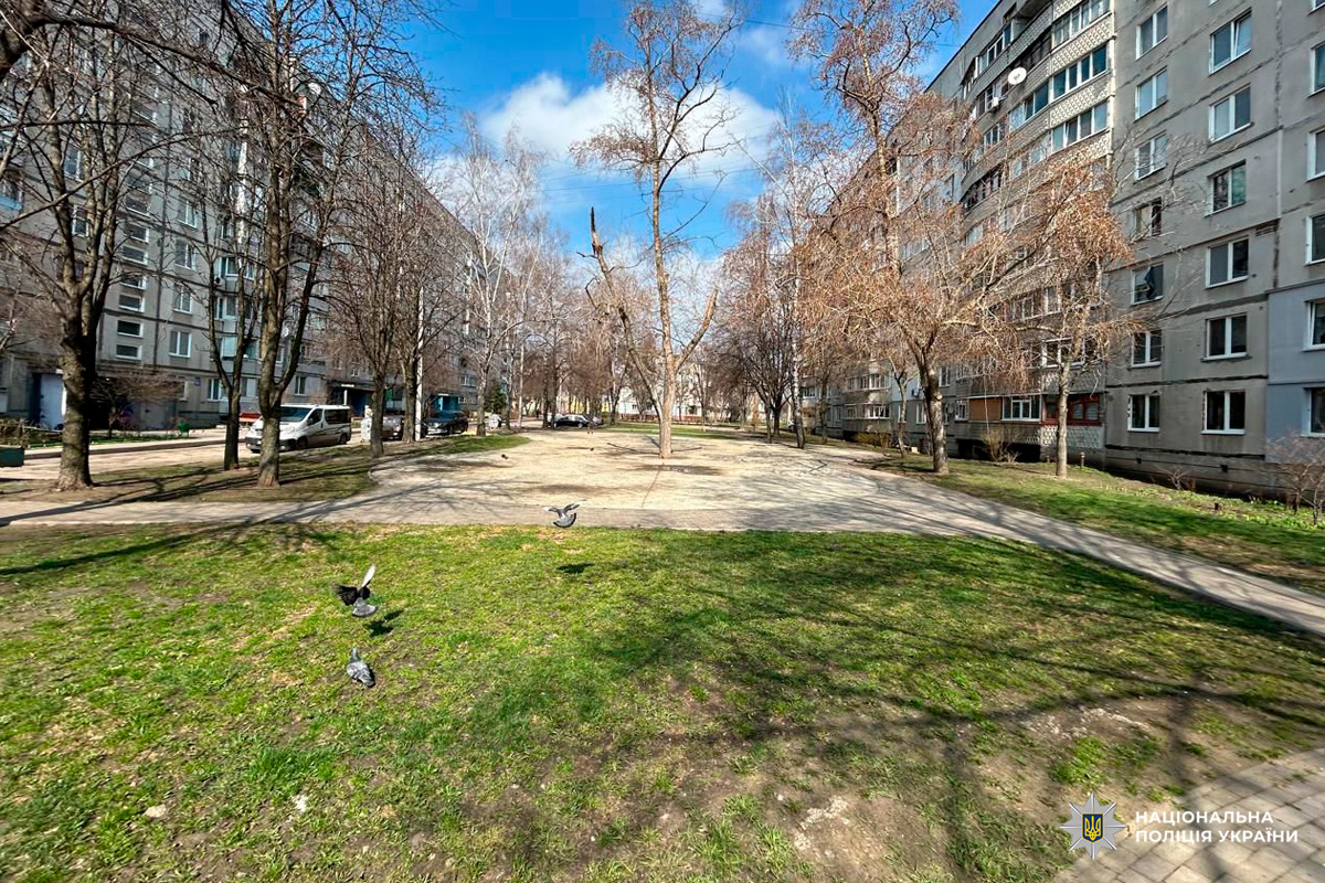 Типовий двір житлового кварталу — між двома багатоповерховими будинками простягається пішохідна алея з деревами без листя, що свідчить про ранню весну. На передньому плані — зелена галявина, де видно кілька голубів, частина з яких у польоті. Ліворуч стоять припарковані автомобілі, праворуч — фасади будинків із балконами та вікнами.