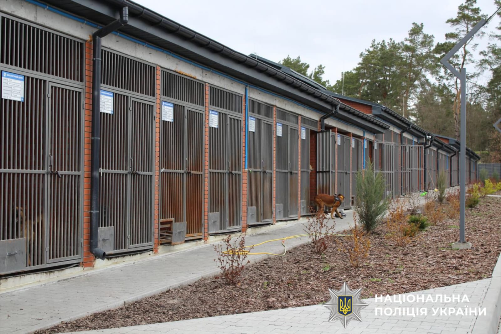 На фотографії зображено Кінологічний центр поліції Київщини, який відвідали учні столичного регіону.