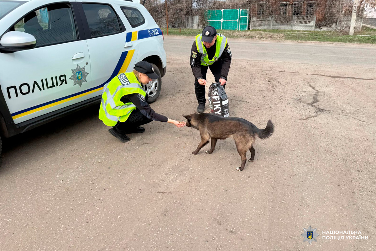 На фото — двоє співробітників Національної поліції України у чорній формі та світловідбивних жилетах. Один поліцейський присів і простягає руку до собаки середнього розміру з темним хутром, а інший тримає відкритий пакет із кормом.