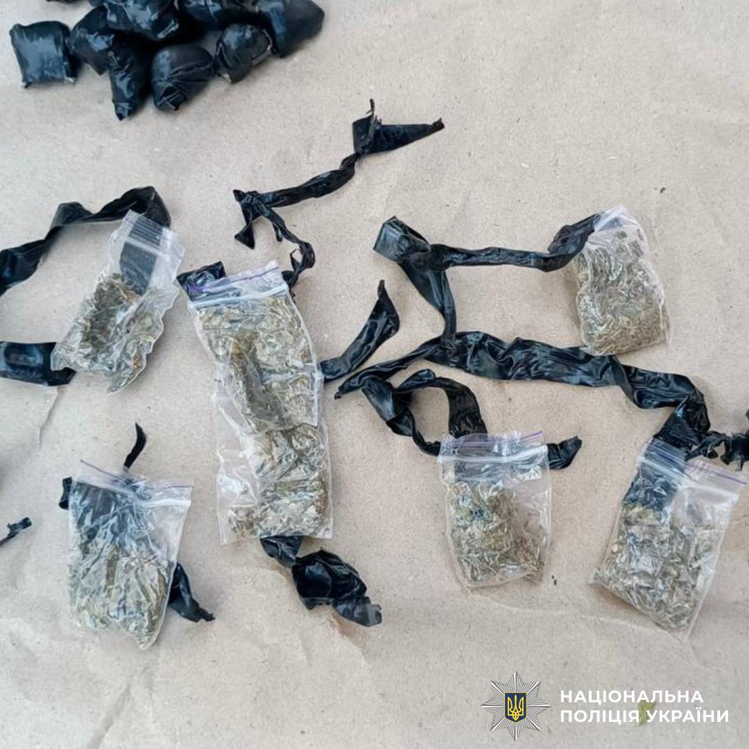 Поліцейські Балаклійщини повідомили про підозру 16-річному молодику, який планував торгувати наркотичними речовинами