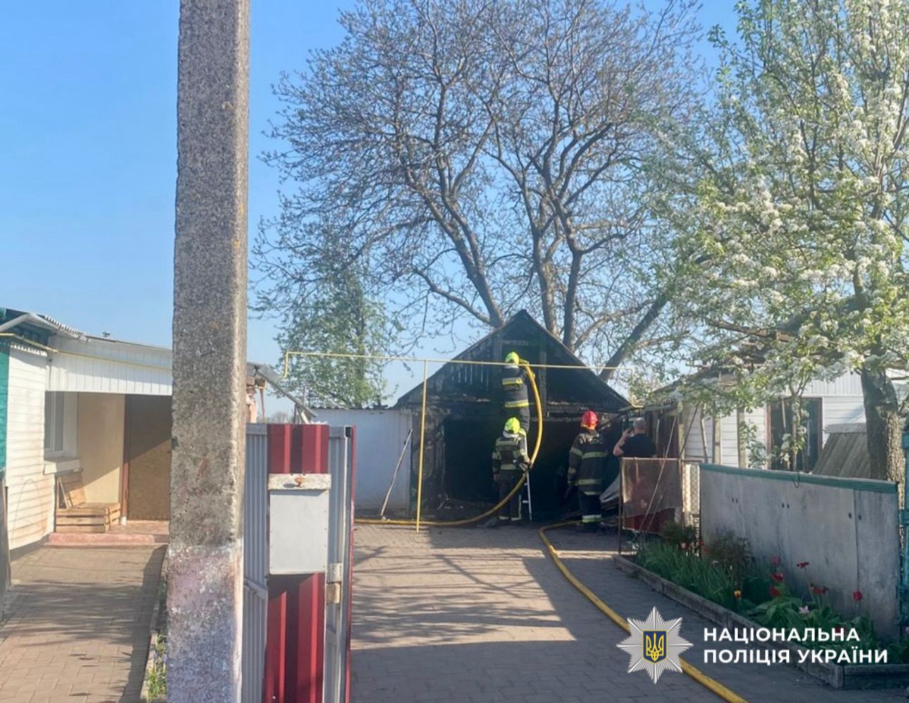 На фото зображено місце події.