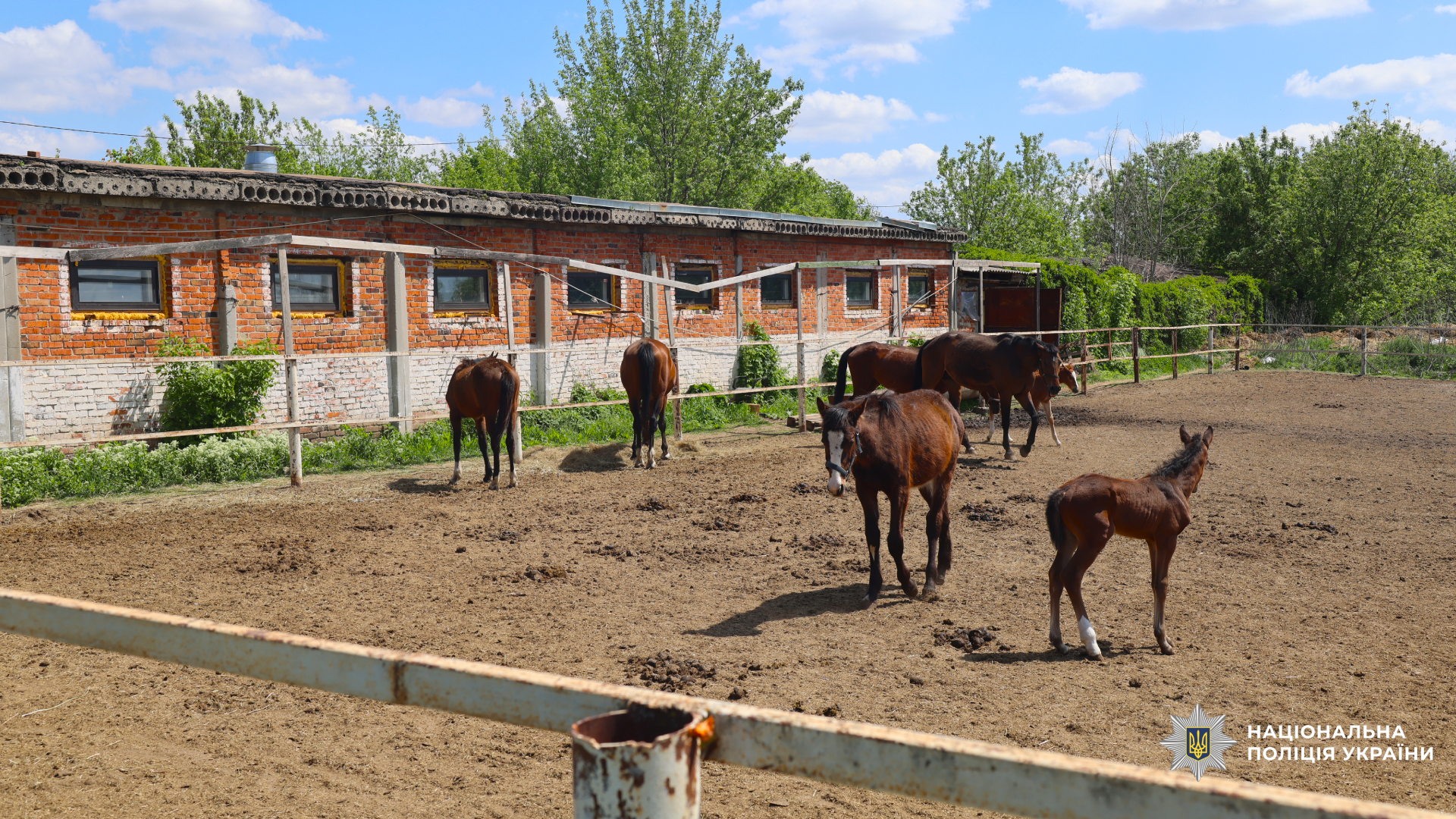 психологи поліції допомагають бійцям відновлюватися після поранень
