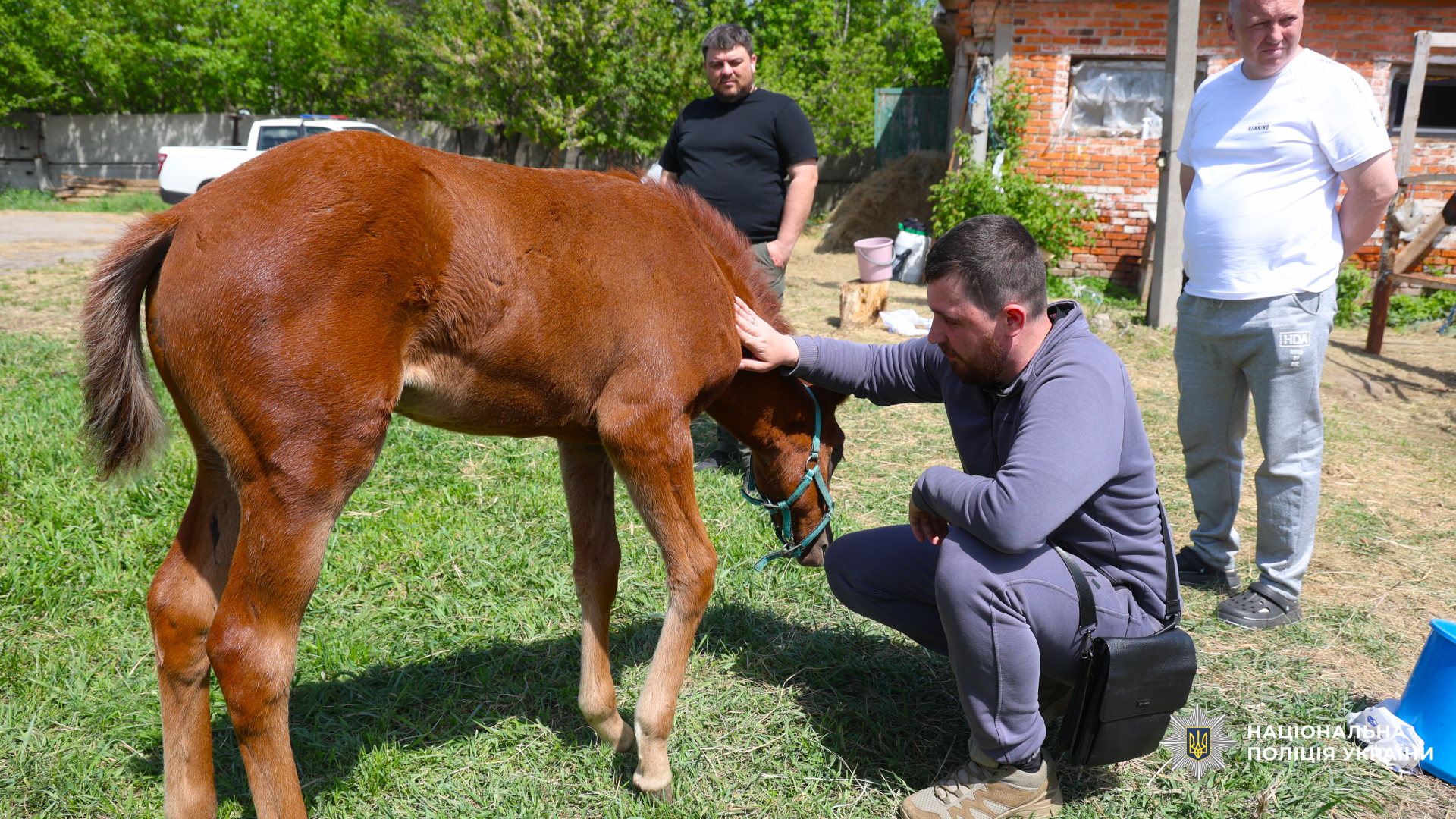 психологи поліції допомагають бійцям відновлюватися після поранень