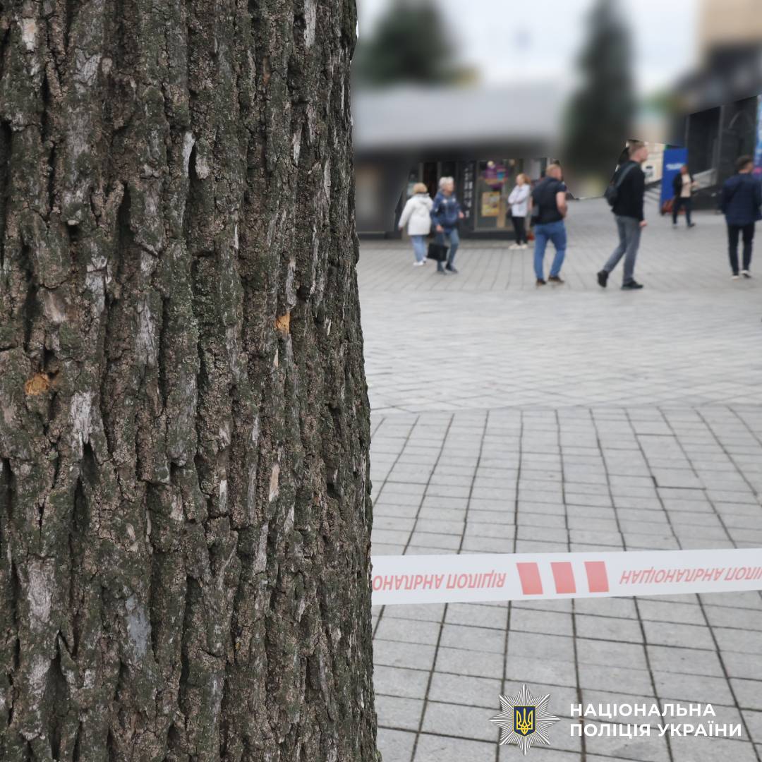 На фото зображені наслідки ворожого обстрілу