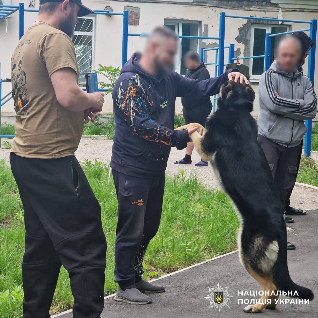 Психологи та кінологи поліції Харківщини провели каністерапію для поранених захисників, які нині проходять лікування та реабілітацію