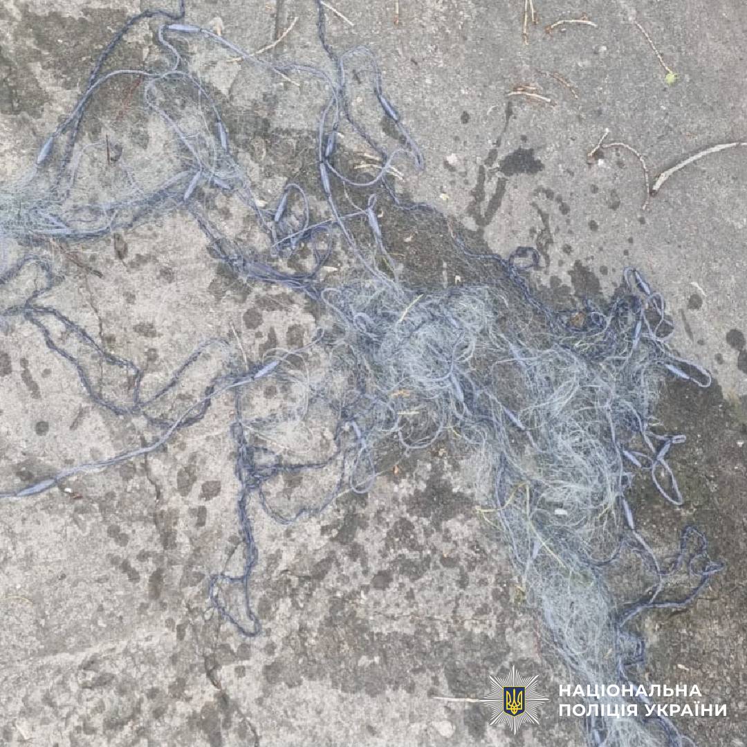 На Чугуївщині поліція викрила браконьєра з незаконним уловом риби на понад 160 тисяч гривень