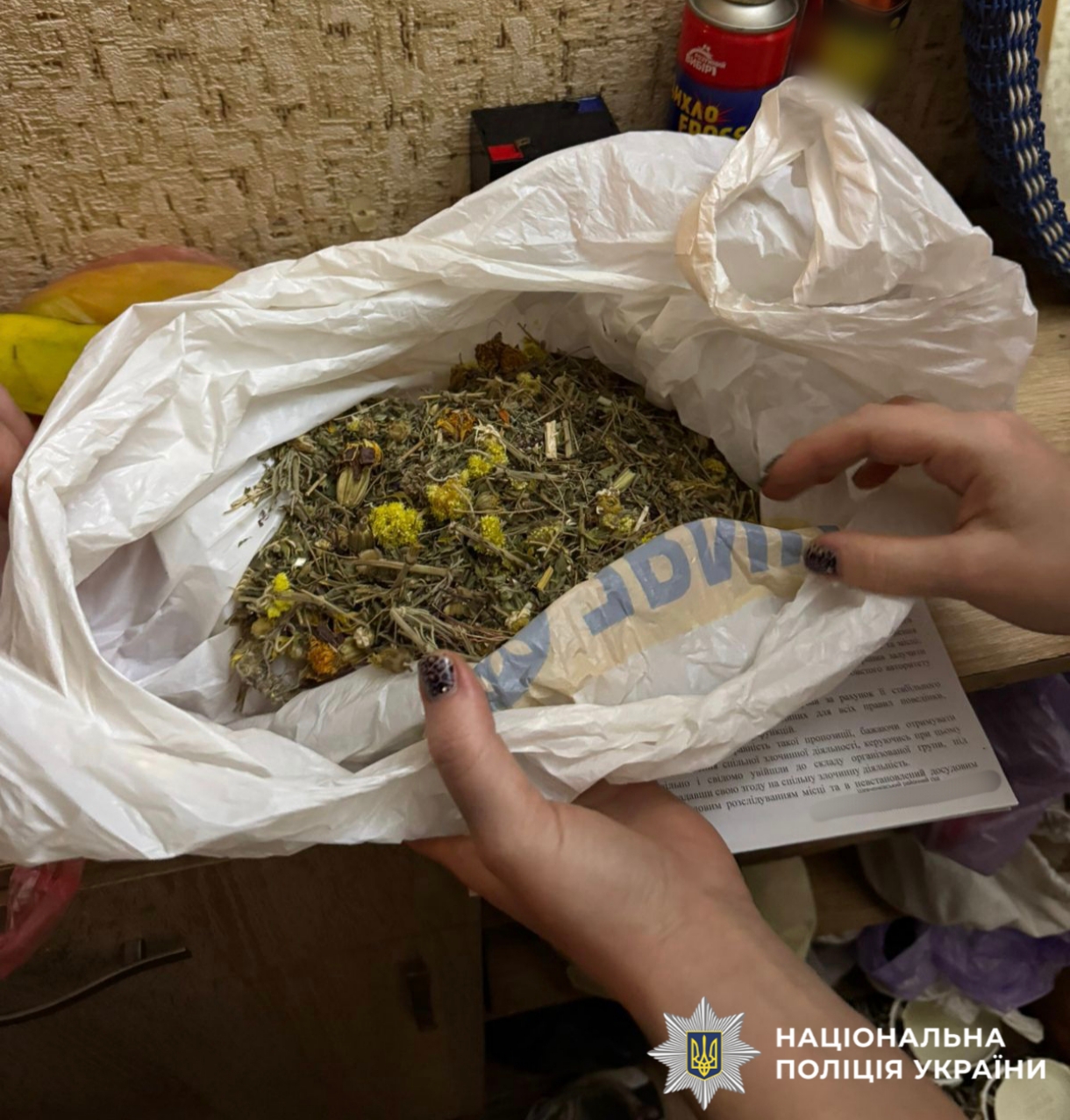 На фотографії зображено виявлені та вилучені наркотики.