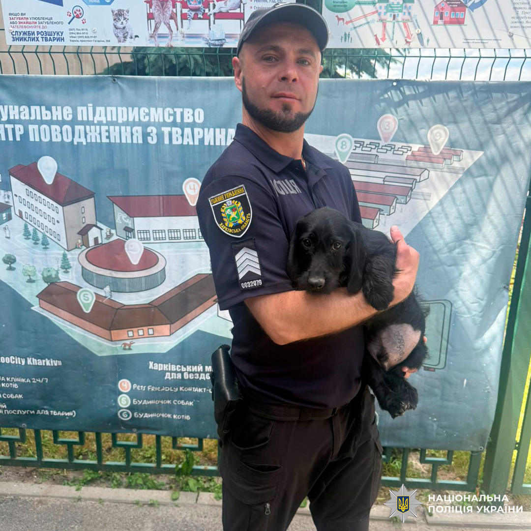 Турбота про чотирилапих: харківські поліцейські надали допомогу безпритульним тваринам