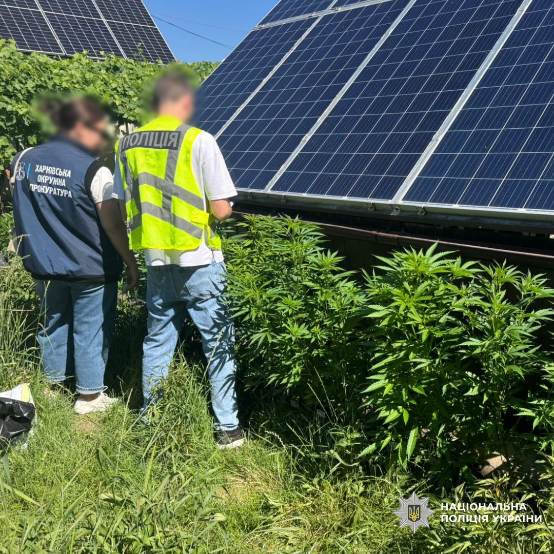 Поліція Харківщини викрила чоловіка, який налагодив збут наркотиків через поштові відправлення