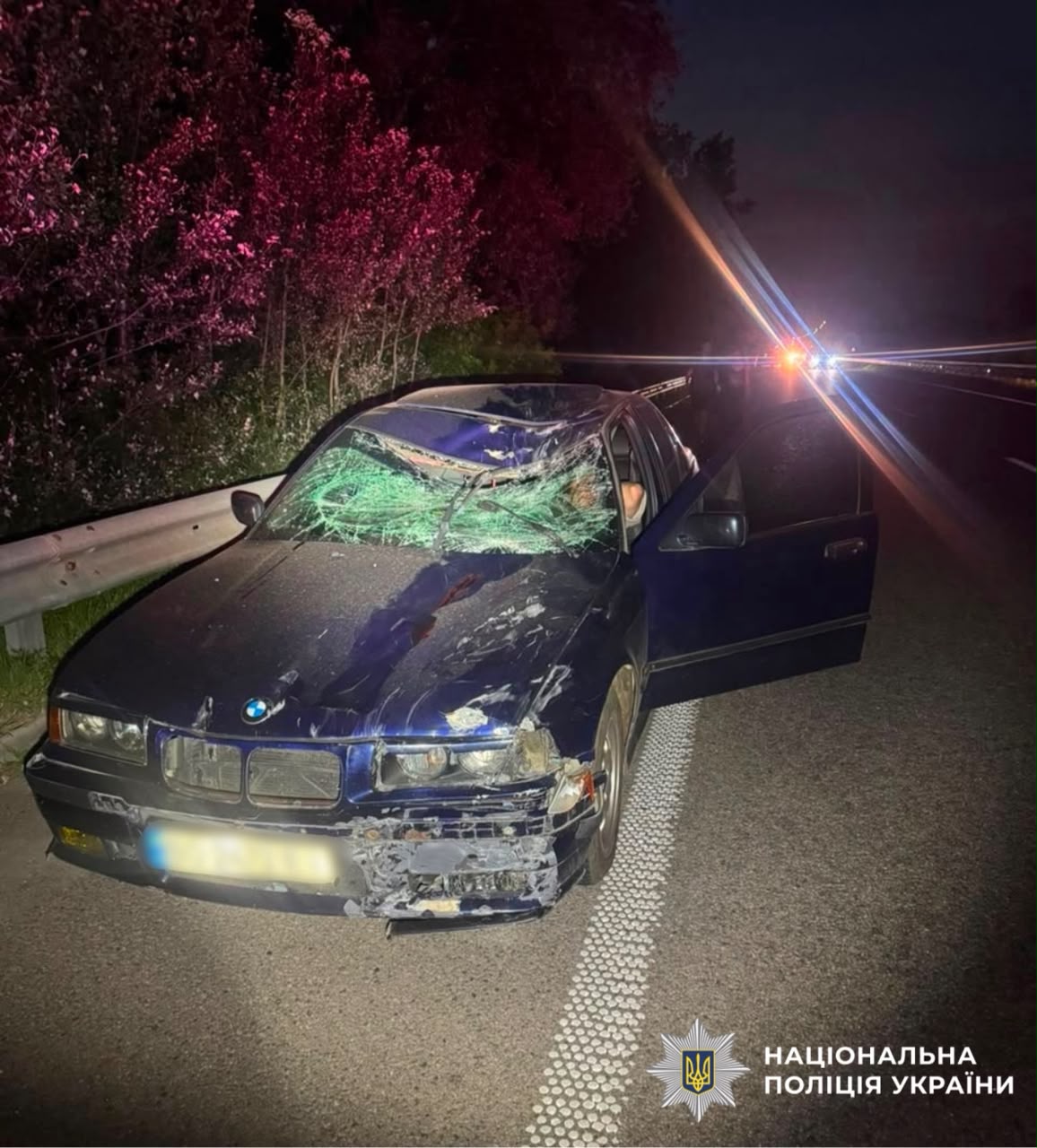 На фотографії зображено місце події та автомоібль, який є учасником ДТП.