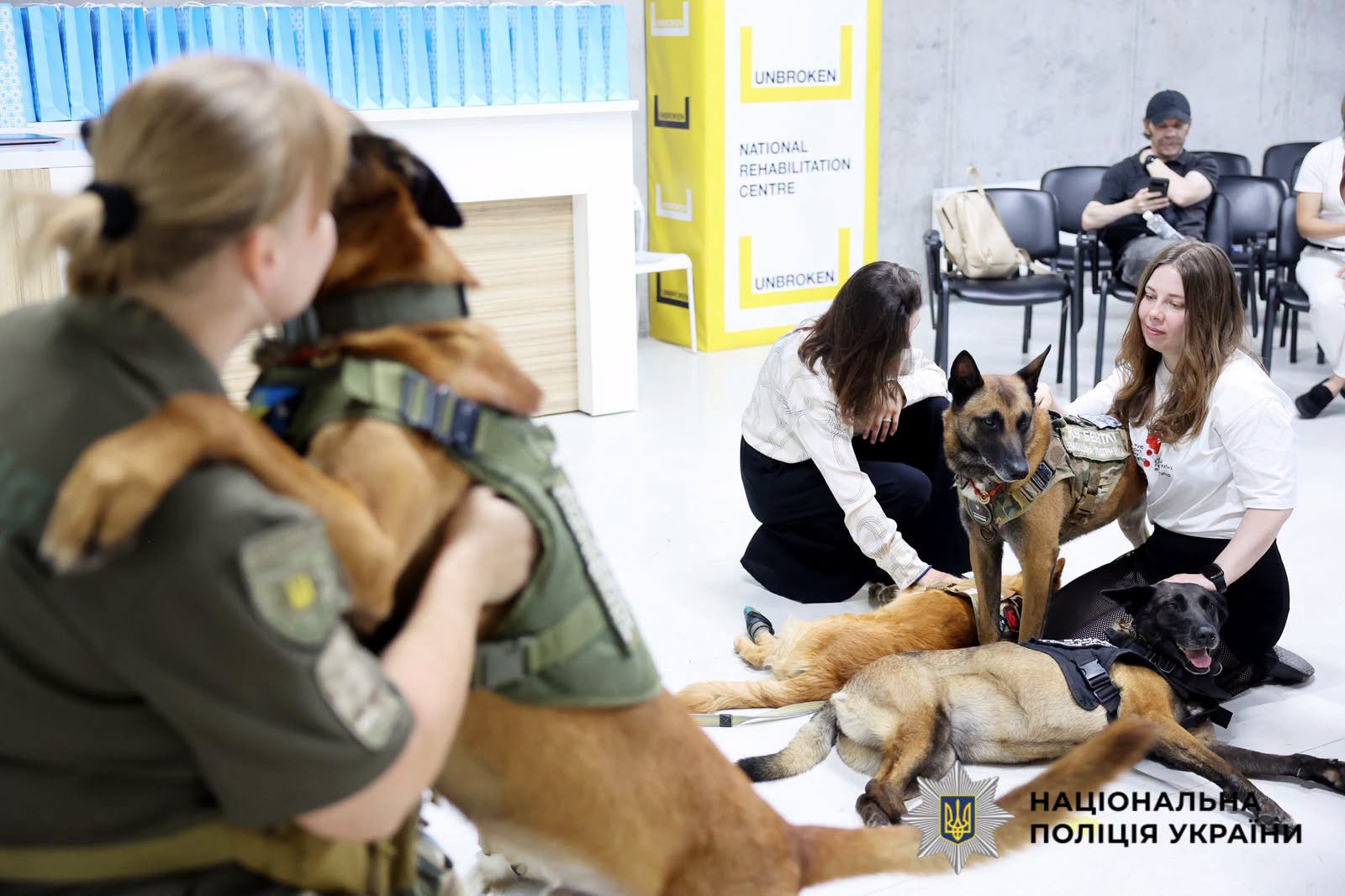 На фотографії зображено захід відкриття у Львові проєкту Unbroken Animals, у якому взяли участь поліцейські-кінологи Київщини.