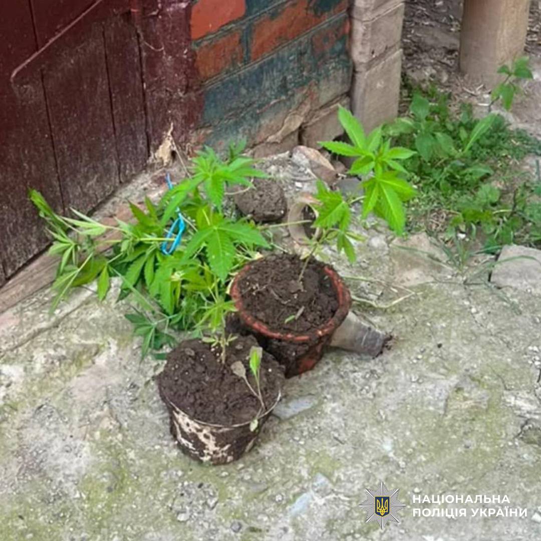На Харківщині поліцейські викрили наркозбувача