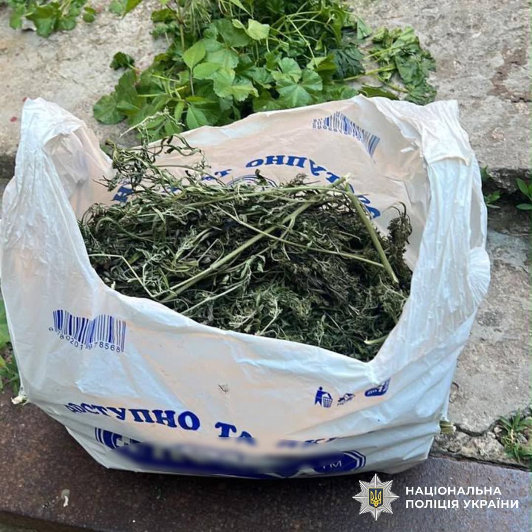 На Харківщині поліцейські викрили наркозбувача