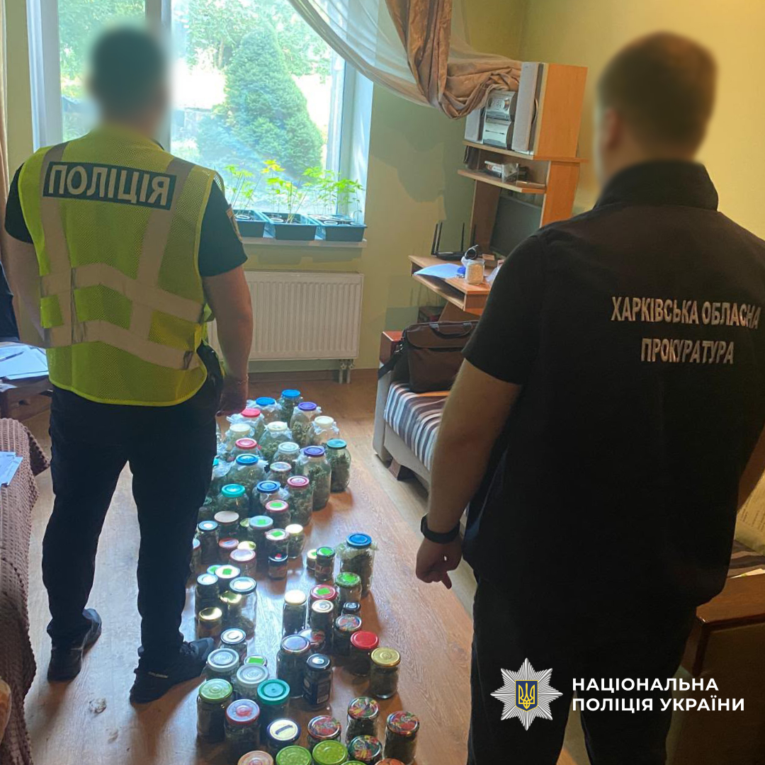 Понад 3,6 тисячі кущів конопель, майже 28 кілограмів канабісу та десятки затриманих: поліція Харківщини підбила проміжні підсумки спецоперації «Джентельмени»