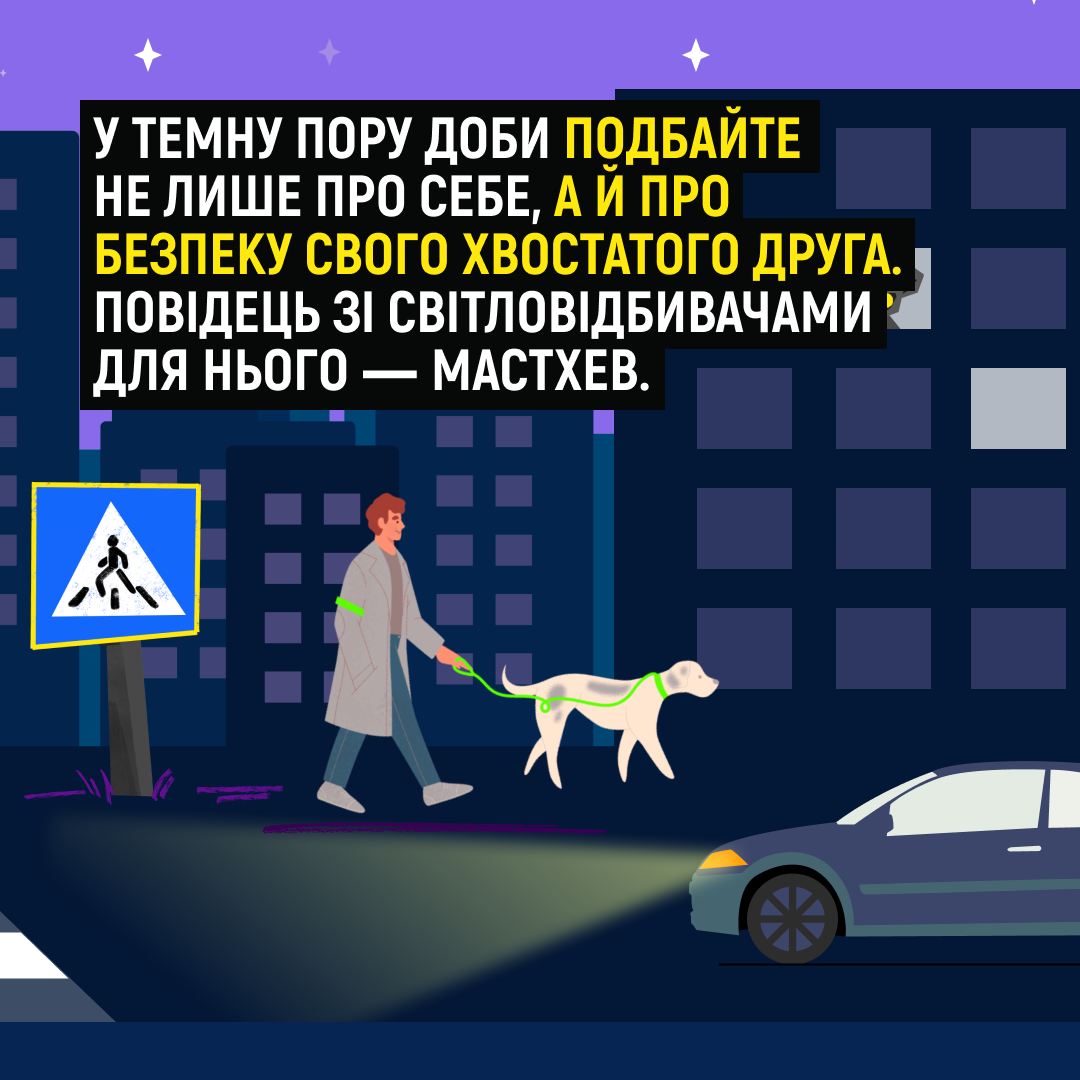 У темну пору доби подбайте про безпеку чотирилапого друга
