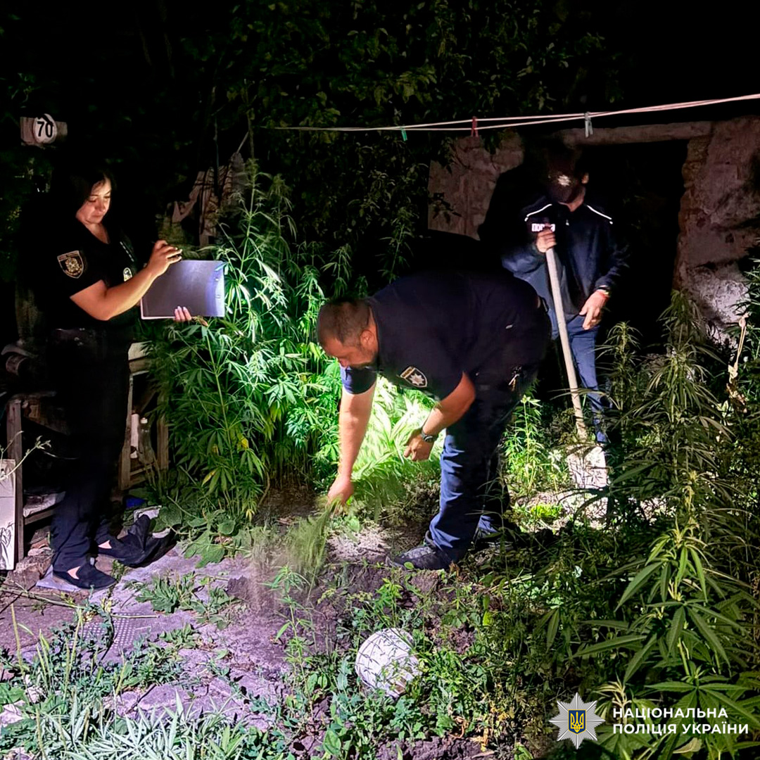 На Чугуївщині  поліцейські вилучили у місцевого мешканця понад півтисячі кущів маку та коноплі