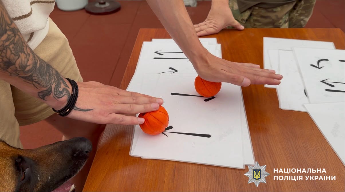 На фотографії зображено проведення заняття кінологинею Катериною Бєляєвою, спрямоване на підтримку психоемоційного стану ветеранів, які наразі проходять реабілітацію.