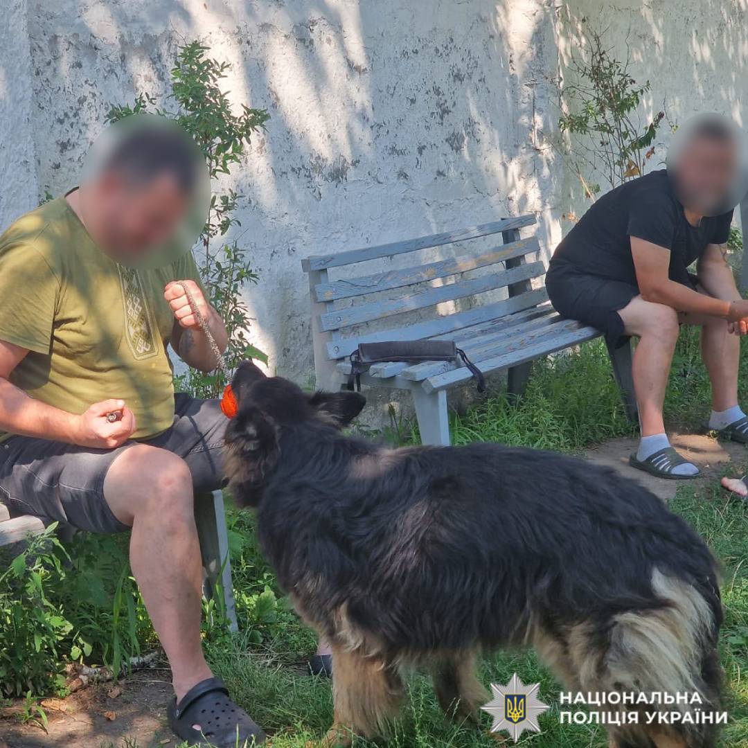 Сеанс каністерапії: психологи та кінологи поліції Харківщини допомагають відновлюватися пораненим захисникам