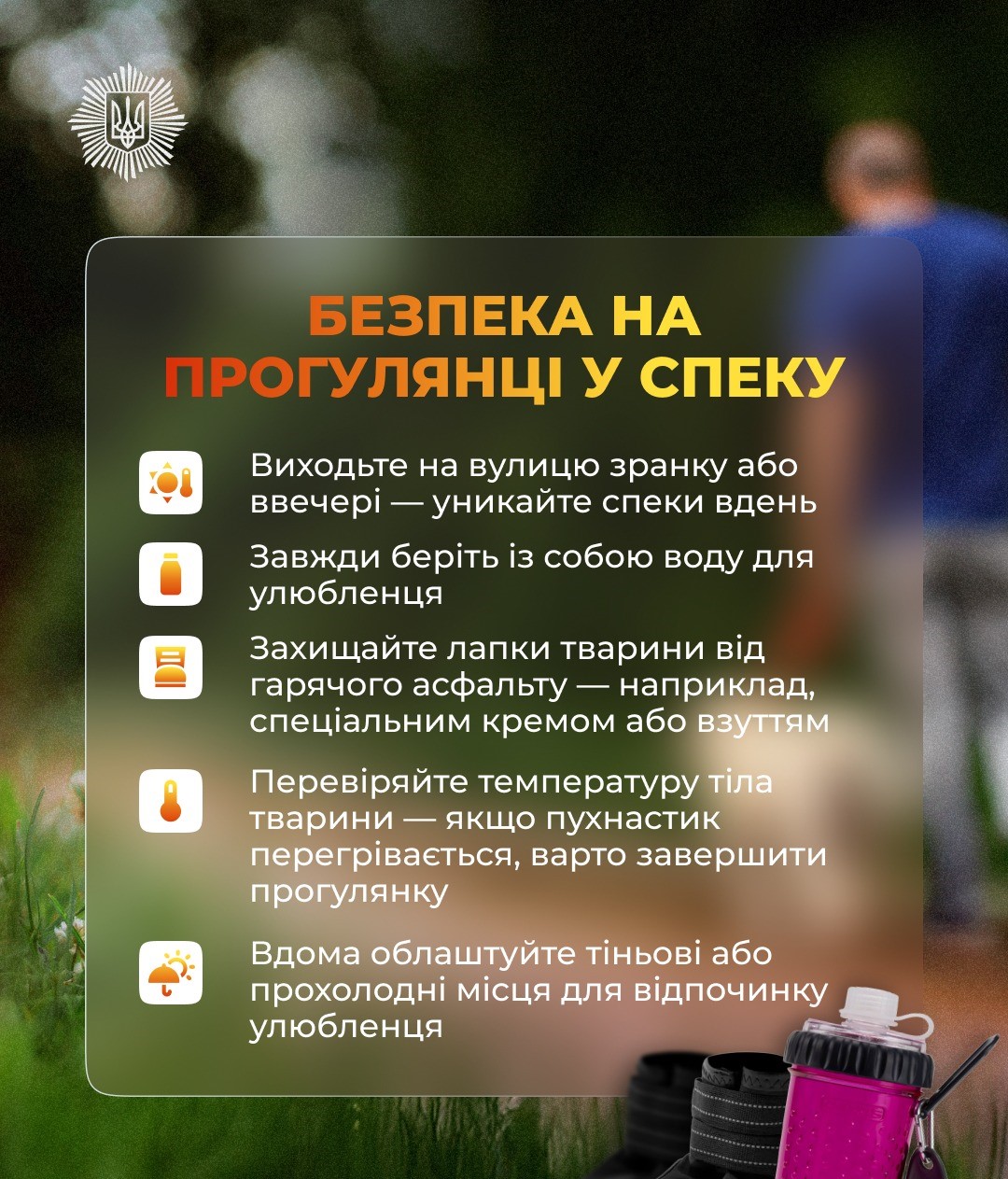 Як допомогти тваринам у спеку