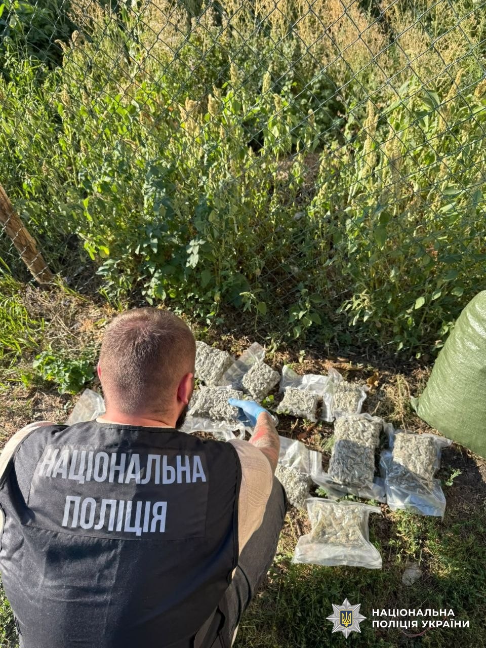 вилучені наркотики