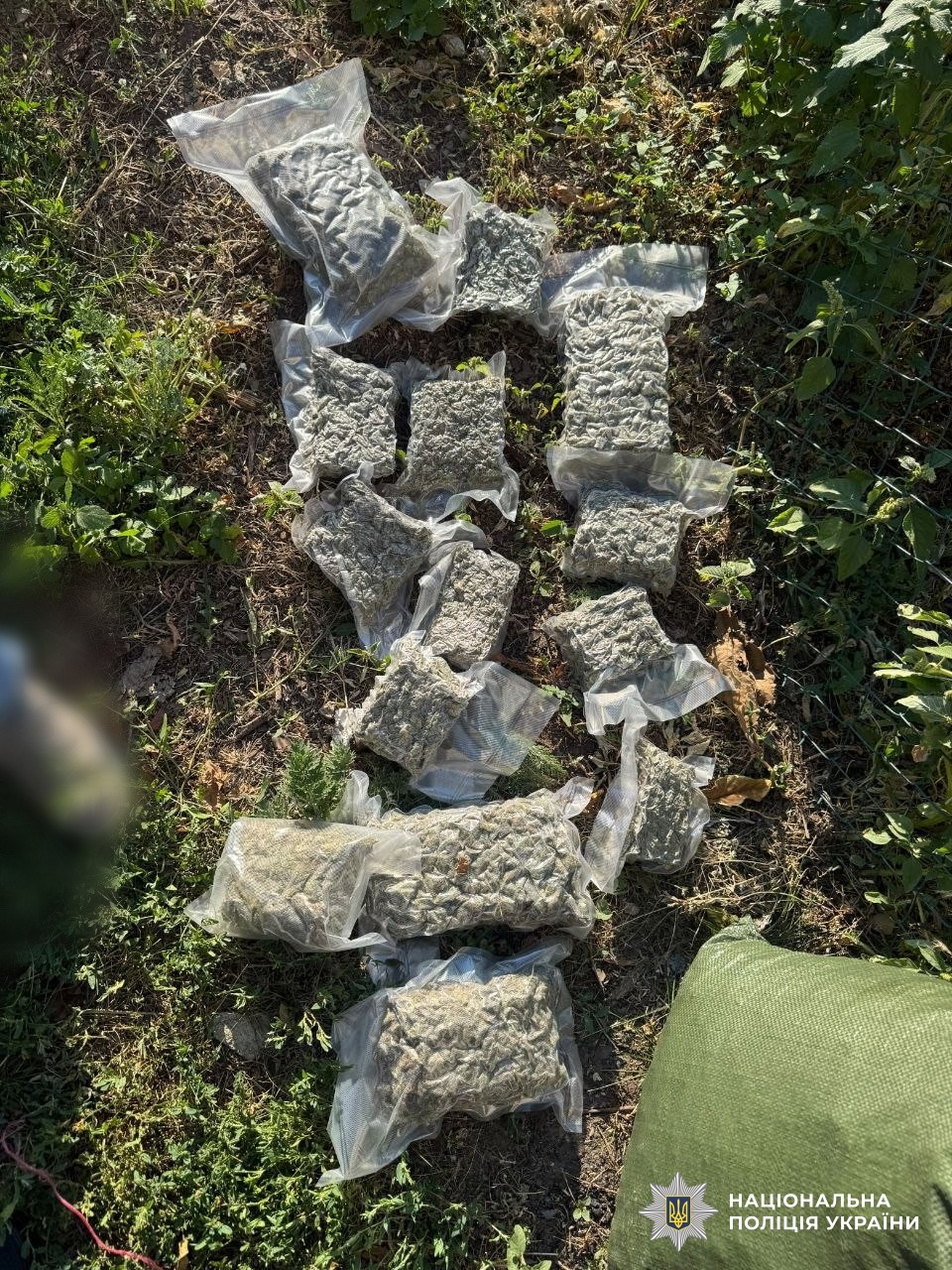 вилучені наркотики