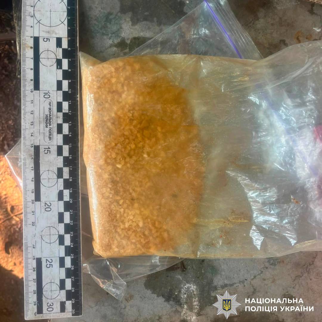 На Чугуївщині поліцейські затримали двох фігурантів за систематичне пересилання психотропів через поштомати