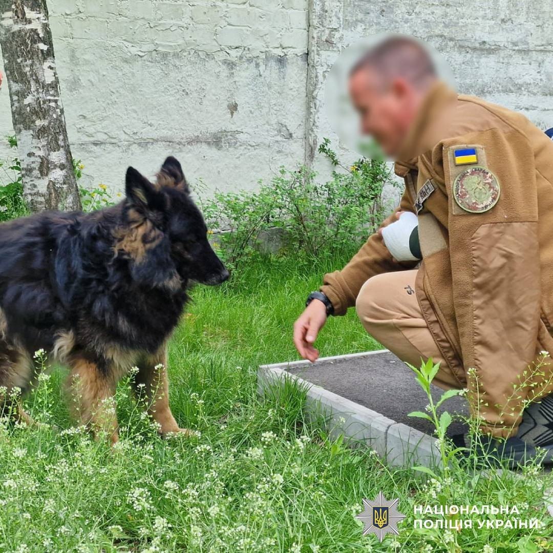 У Міжнародний день песиків поліція Харківщини дякує своїм чотирилапим напарникам