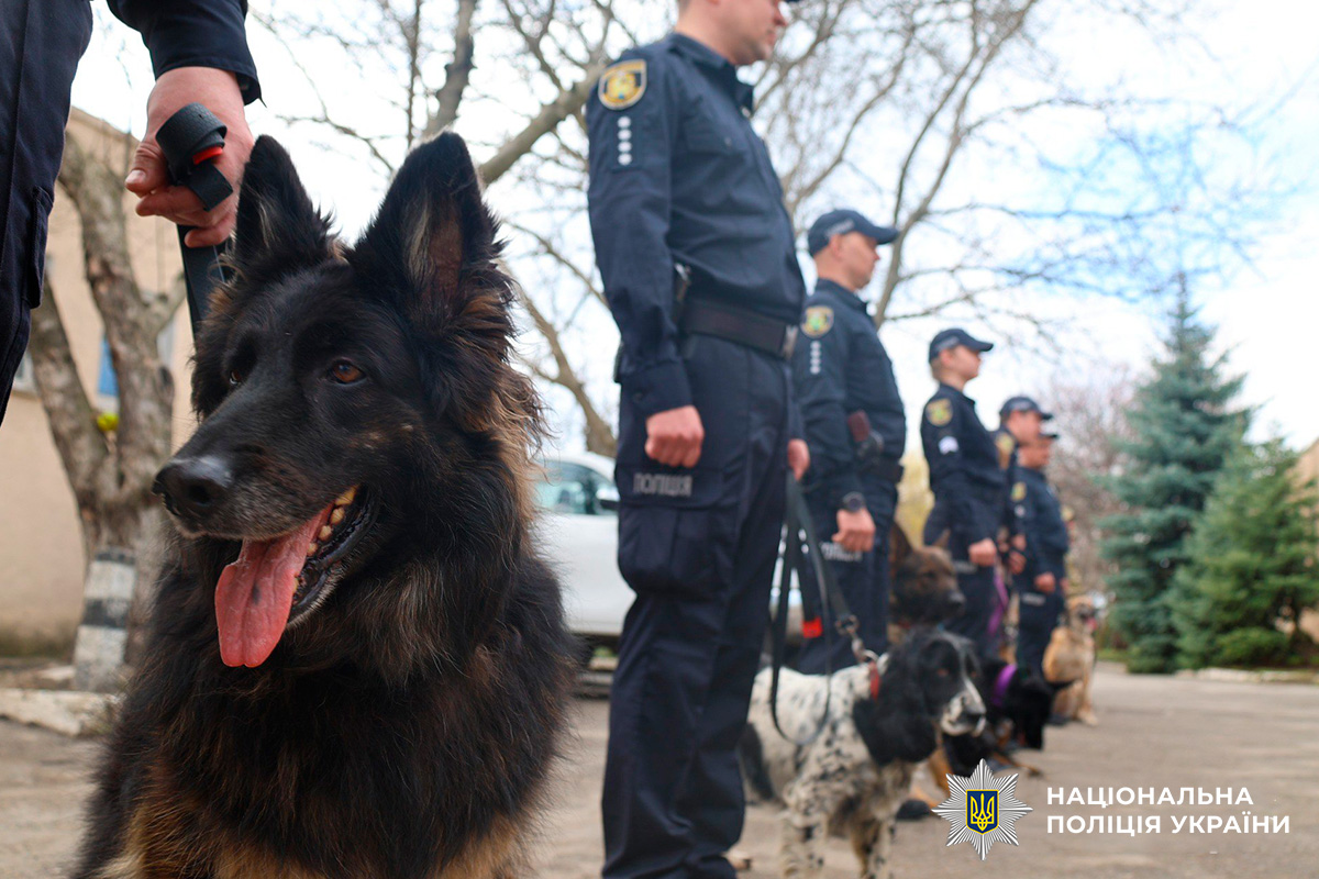 У Міжнародний день песиків поліція Харківщини дякує своїм чотирилапим напарникам
