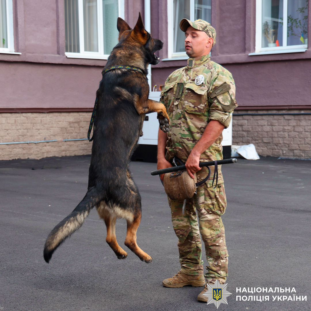 У Міжнародний день песиків поліція Харківщини дякує своїм чотирилапим напарникам