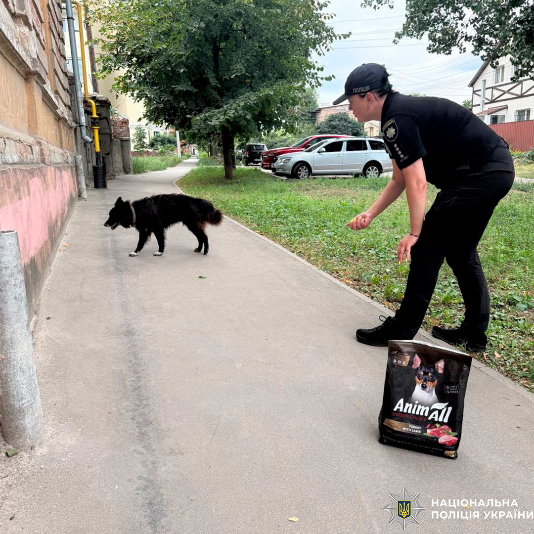 Поліцейська Харківщини прихистила евакуйованого з Лимана собаку та допомагає іншим чотирилапим