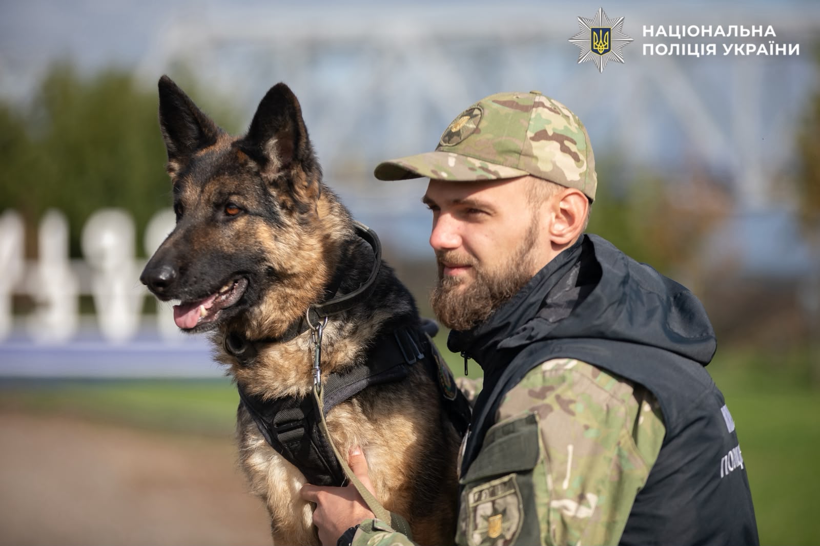 На фотографії зображено кінолога та службову собаку поліції Київщини.