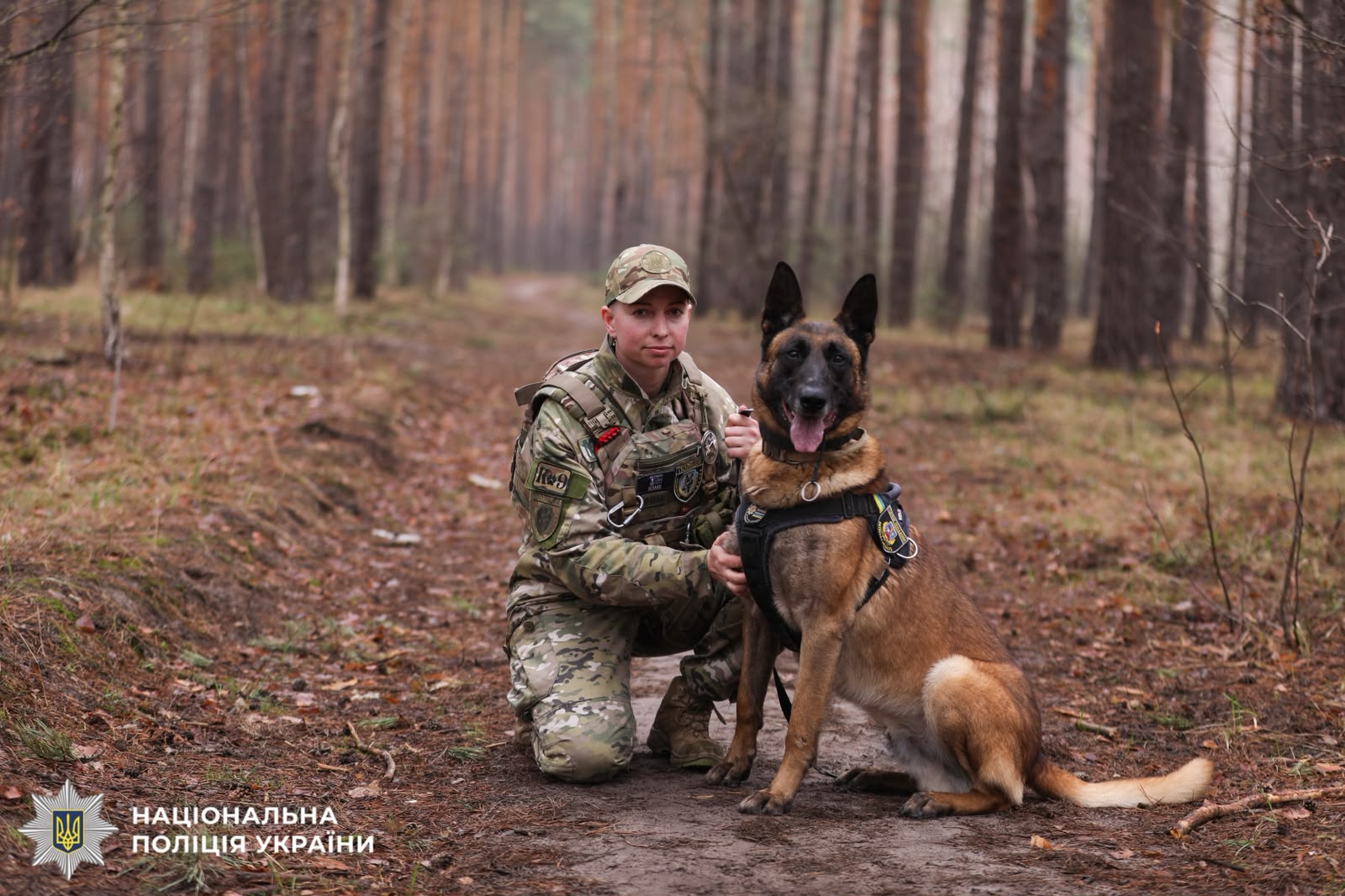 На фотографії зображено кінолога та службову собаку поліції Київщини.