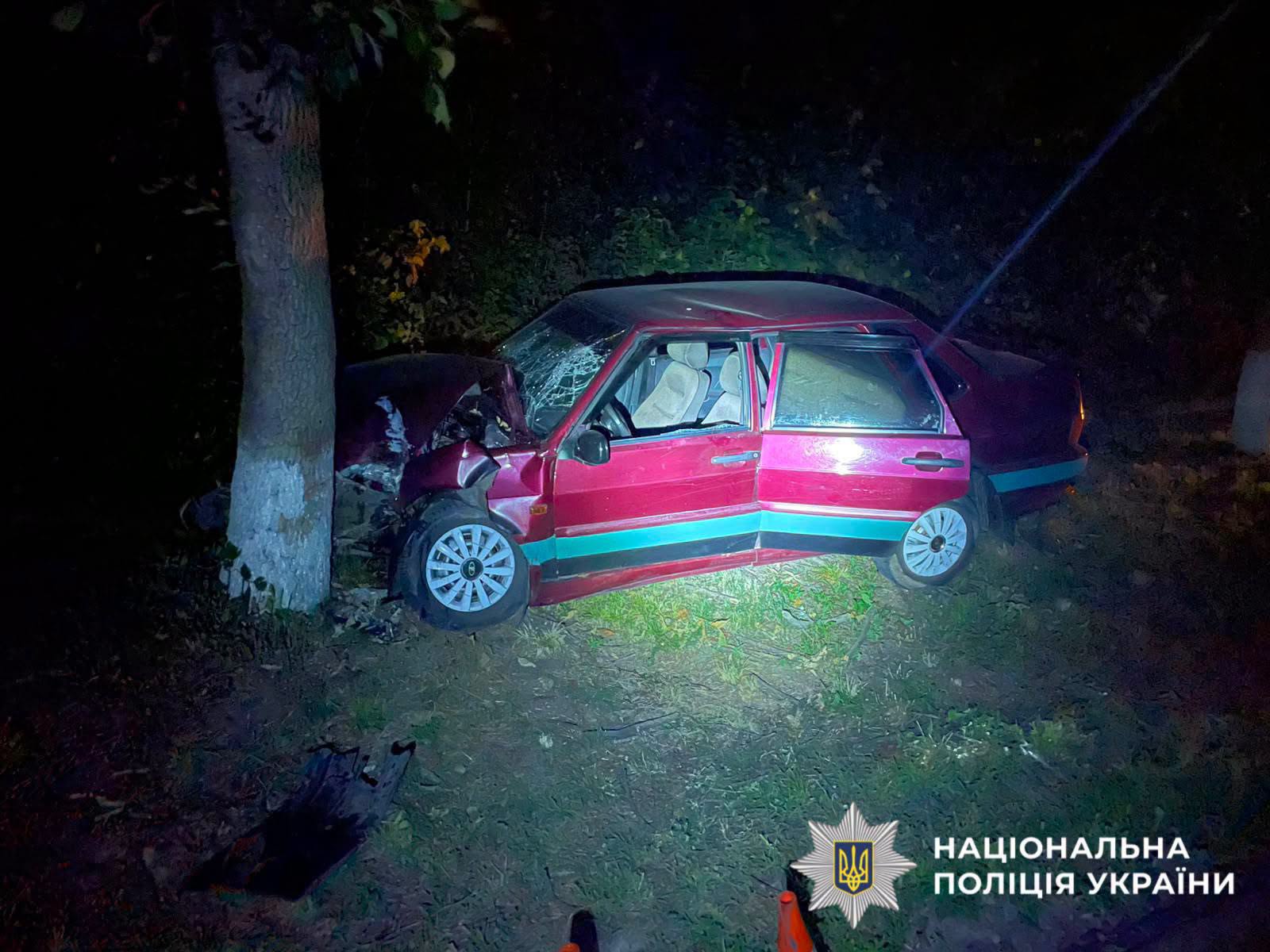 На фото понівеченеий автомобіль біля дерева.