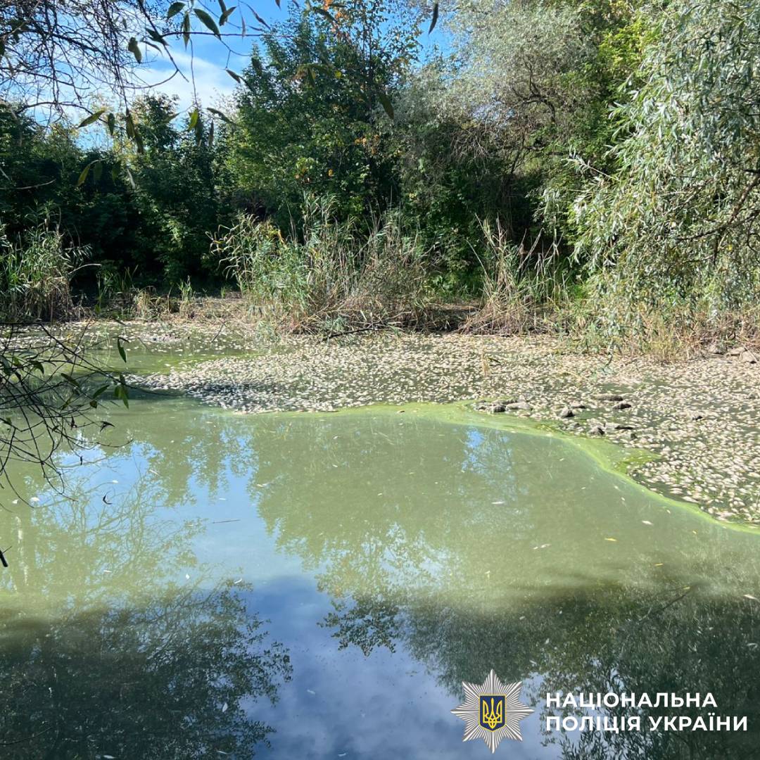 Поліцейські Харківщини розпочали кримінальне провадження за фактом масової загибелі риби