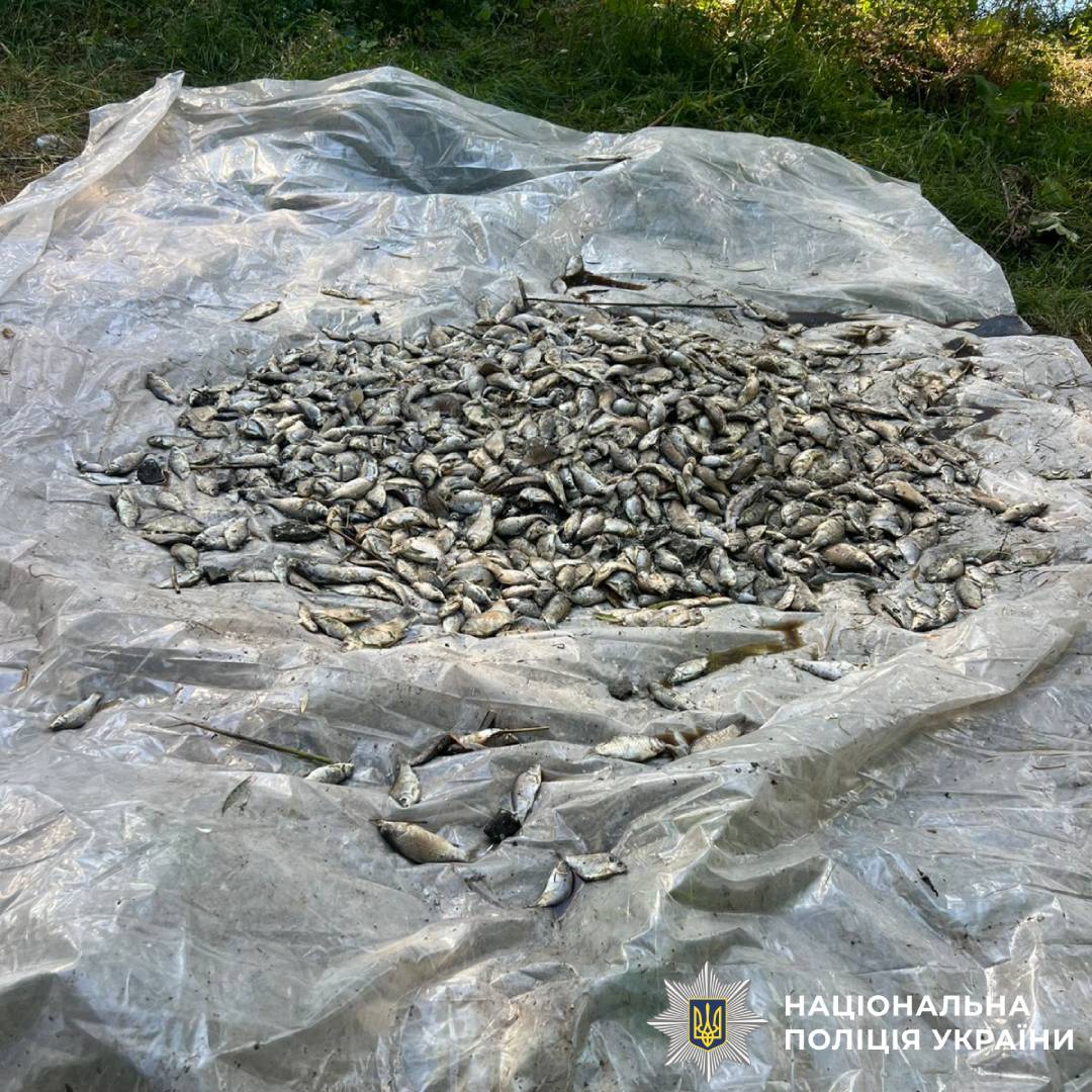 Поліцейські Харківщини розпочали кримінальне провадження за фактом масової загибелі риби